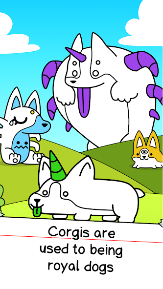 Corgi Evolution Application Screenshots Corgi Evolution Application Screenshots