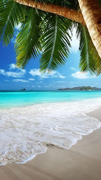 Beach Live Wallpaper Application Screenshots Beach Live Wallpaper Application Screenshots