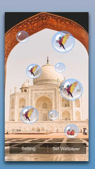 Taj Mahal Live Wallpaper Application Screenshots