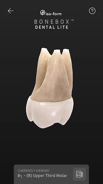 BoneBox™ - Dental Lite Application Screenshots BoneBox™ - Dental Lite Application Screenshots