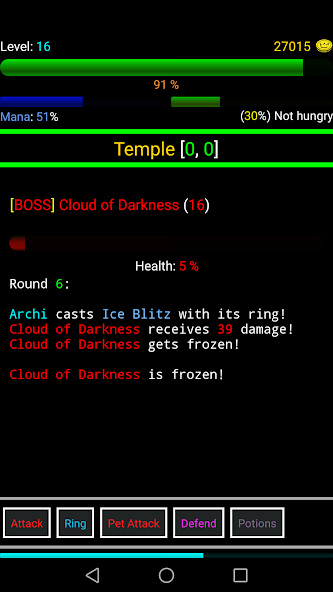 Random Adventure Roguelike Application Screenshots