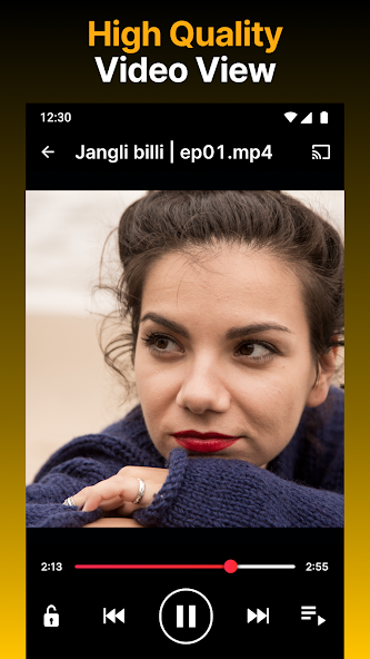 Video Downloader HD - Vidow Application Screenshots