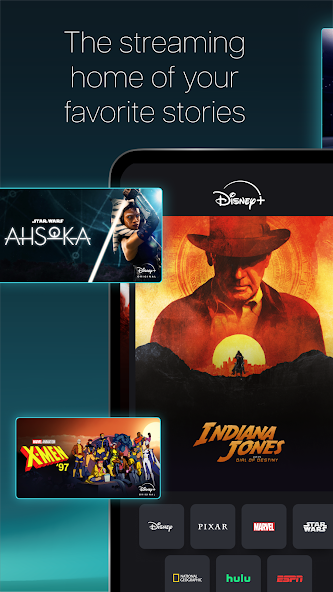 Disney+ Application Screenshots