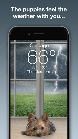 Weather Puppy Application Screenshots Weather Puppy Application Screenshots