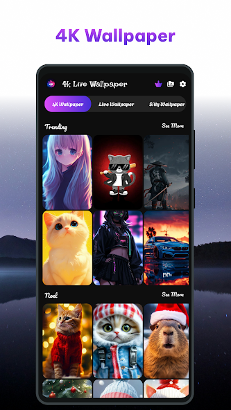 Wallpaper 4K & Live Wallpaper Application Screenshots