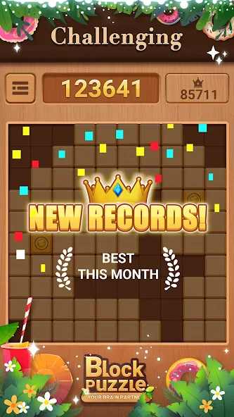 Block Puzzle Application Screenshots