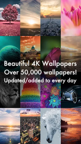 Beautiful HD Wallpapers 40,000+ sheets Application Screenshots