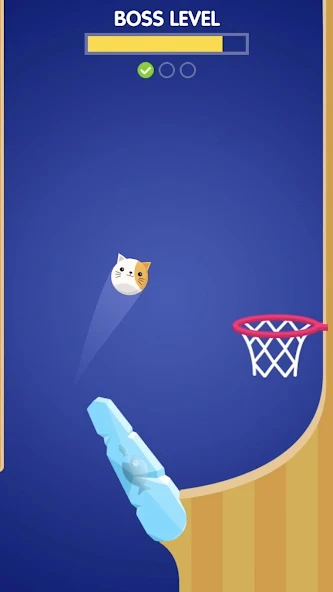 Flipper Dunk Application Screenshots