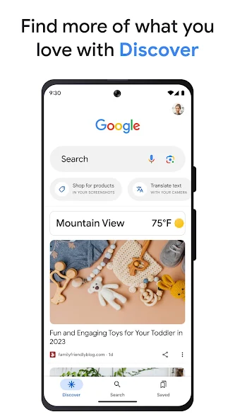 Google Application Screenshots