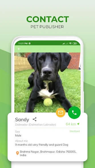 Pets Adoption Adopt Dog, Cat or Post for Adoption Application Screenshots