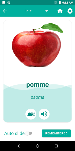 Malagasy French Translator Application Screenshots Malagasy French Translator Application Screenshots