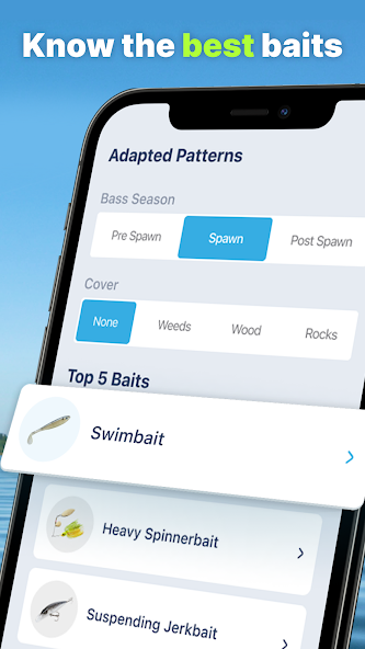 BassForecast Application Screenshots