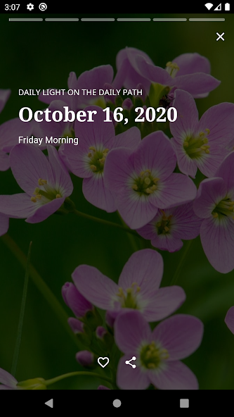 Daily Light on the Daily Path - Lite Application Screenshots Daily Light on the Daily Path - Lite Application Screenshots