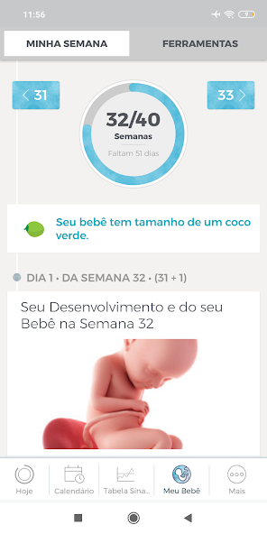 Minha Gravidez Application Screenshots