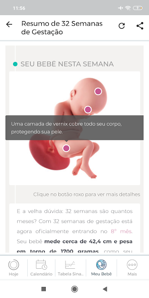 Minha Gravidez Application Screenshots