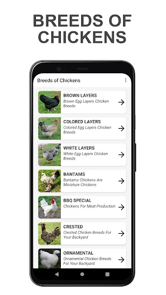 Breeds of Chickens Application Screenshots