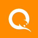 Visa QIWI Wallet