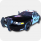 Police Car
