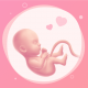 Pregnancy App  Baby countdown timer to due date