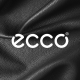 ECCO ECCO