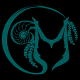 The Official Merbella App