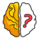 Brain Out