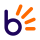 bidorbuy